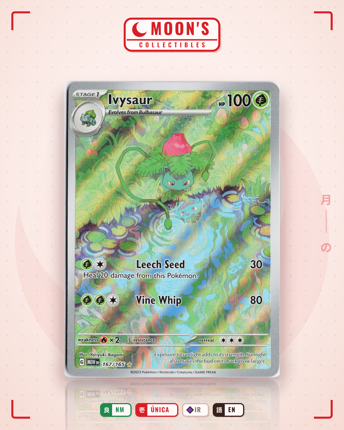 Carta Pokémon Ivysaur · 151 #167/165 (NM) — pieza única en Moon's Collectibles México