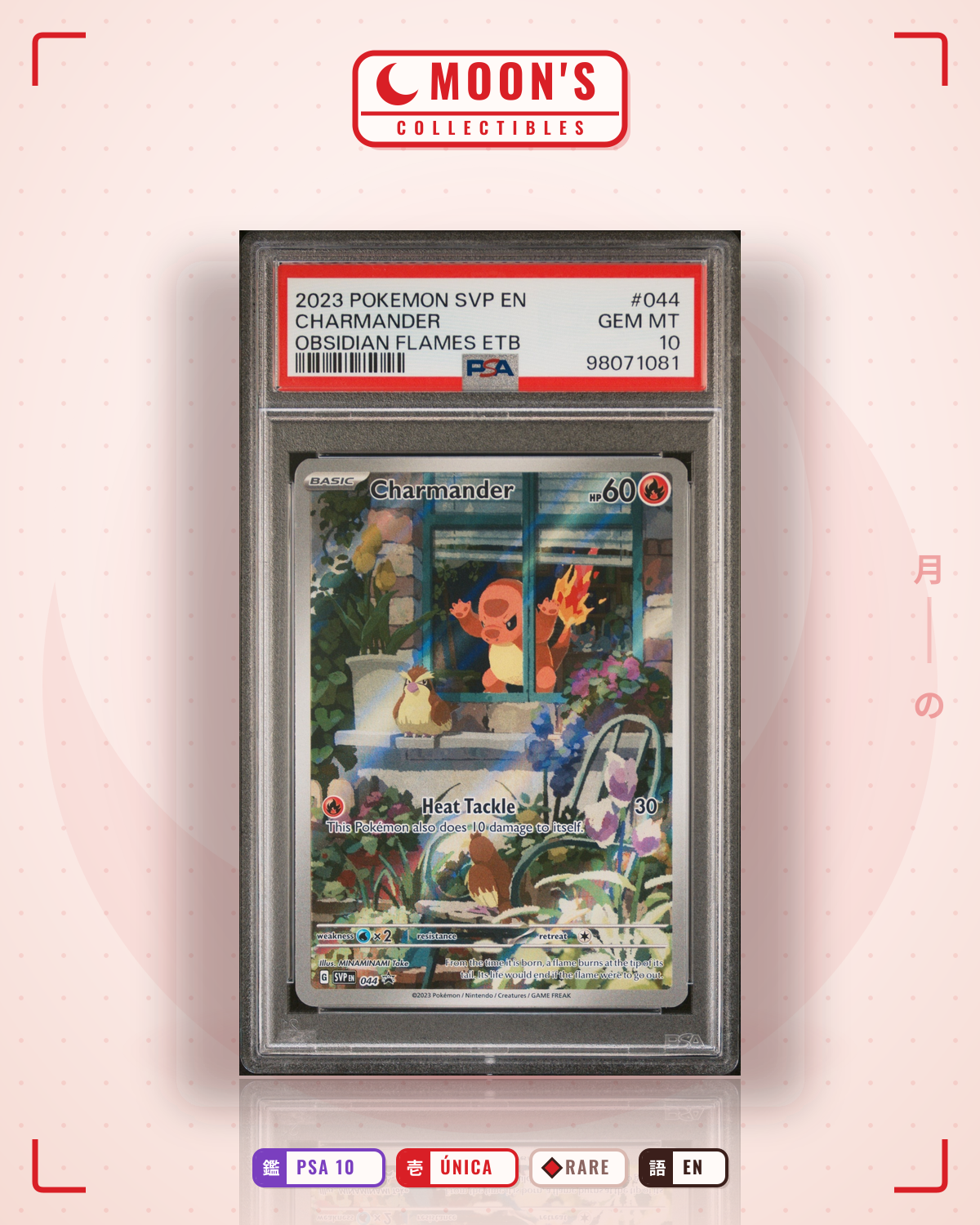 Carta Pokémon Charmander · Scarlet & Violet Black Star Promos #044 (PSA 10) — pieza única en Moon's Collectibles México