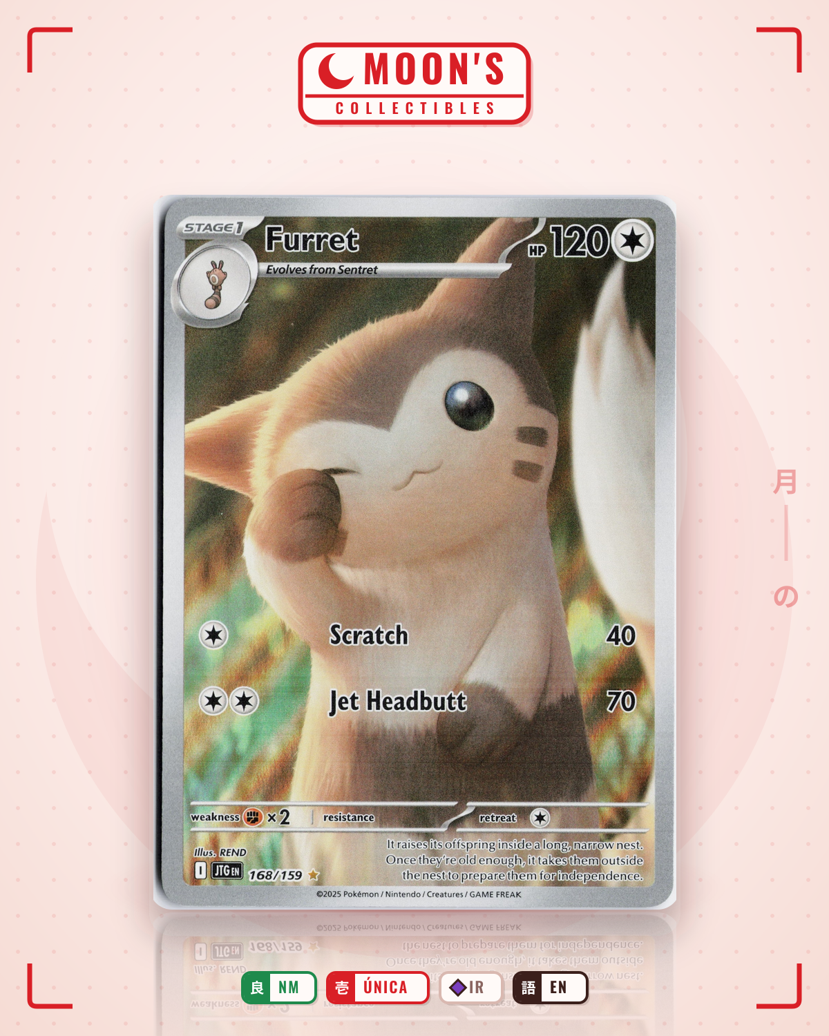 Carta Pokémon Furret · Journey Together #168/159 (NM) — pieza única en Moon's Collectibles México