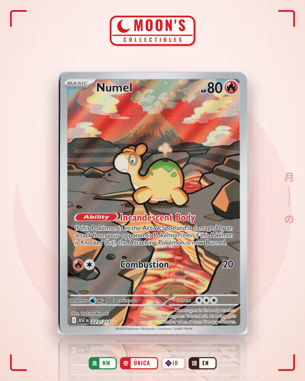Carta Pokémon Numel · Ascended Heroes #223/217 (NM) — pieza única en Moon's Collectibles México