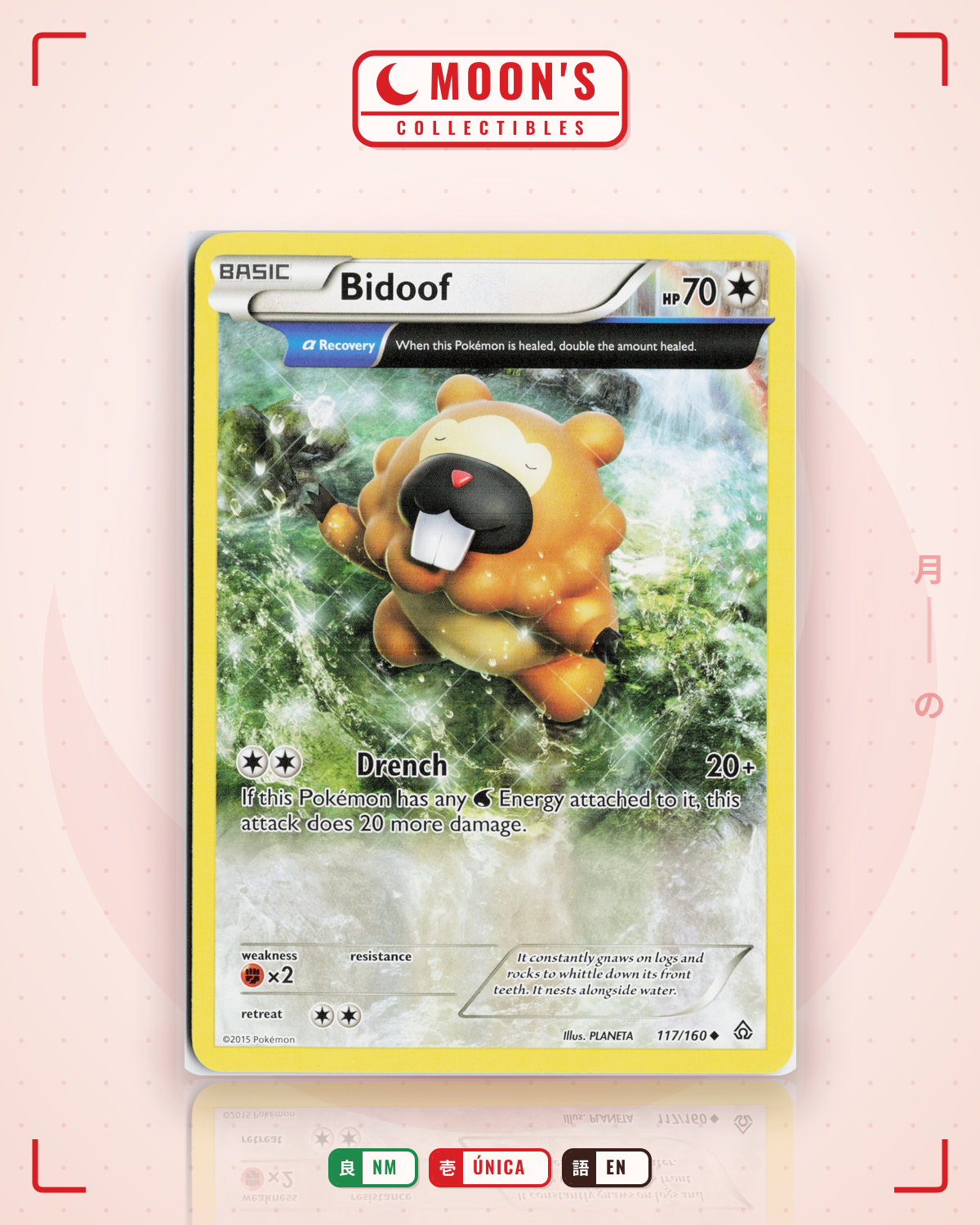 Carta Pokémon Bidoof · Primal Clash #117/160 (NM) — pieza única en Moon's Collectibles México