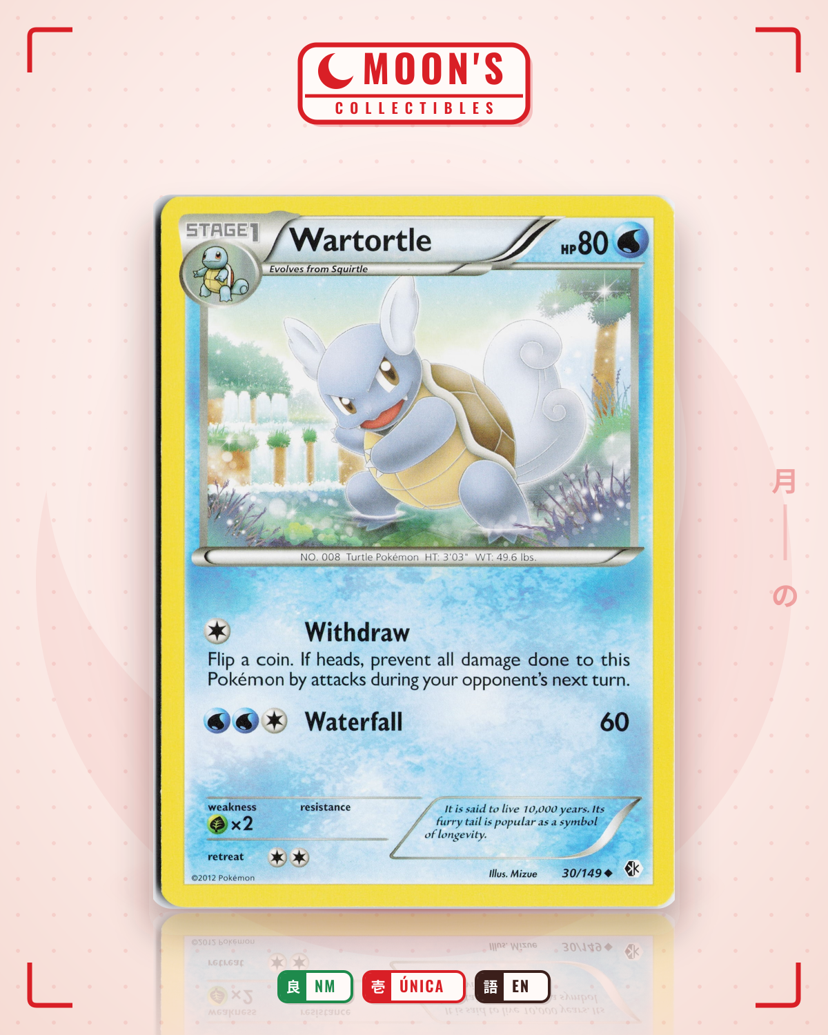 Carta Pokémon Wartortle · Boundaries Crossed #30/149 (NM) — pieza única en Moon's Collectibles México