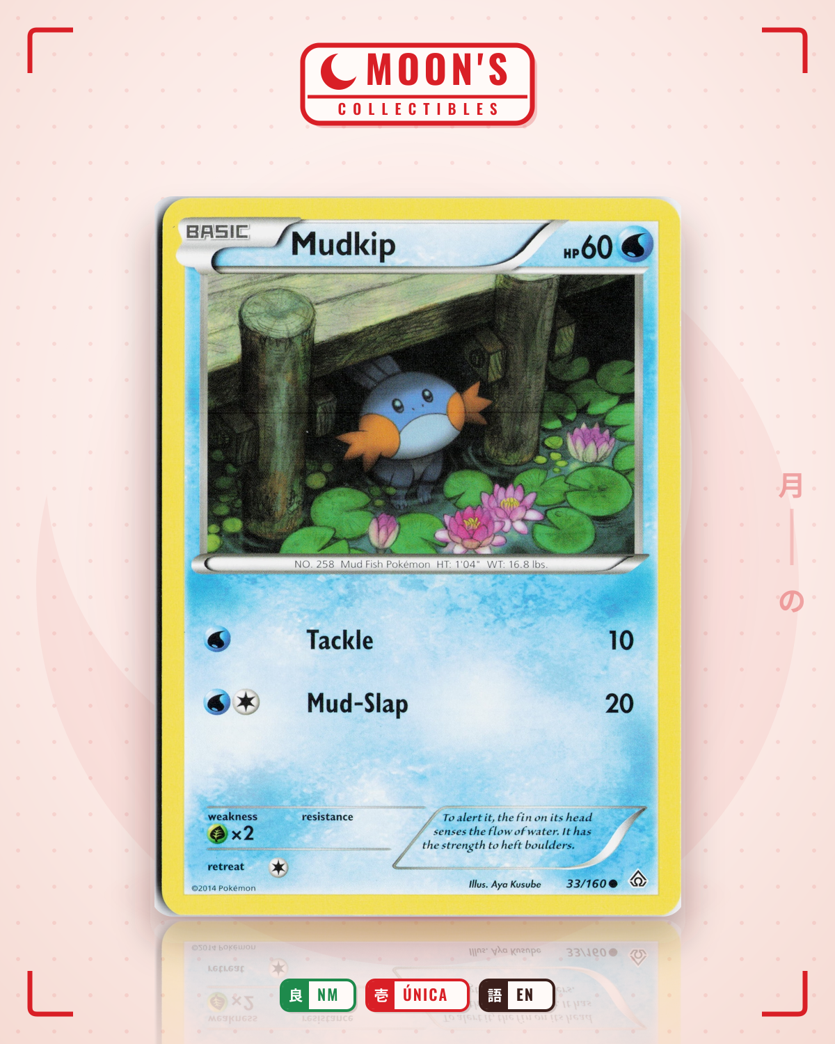 Carta Pokémon Mudkip · Primal Clash #33/160 (NM) — pieza única en Moon's Collectibles México