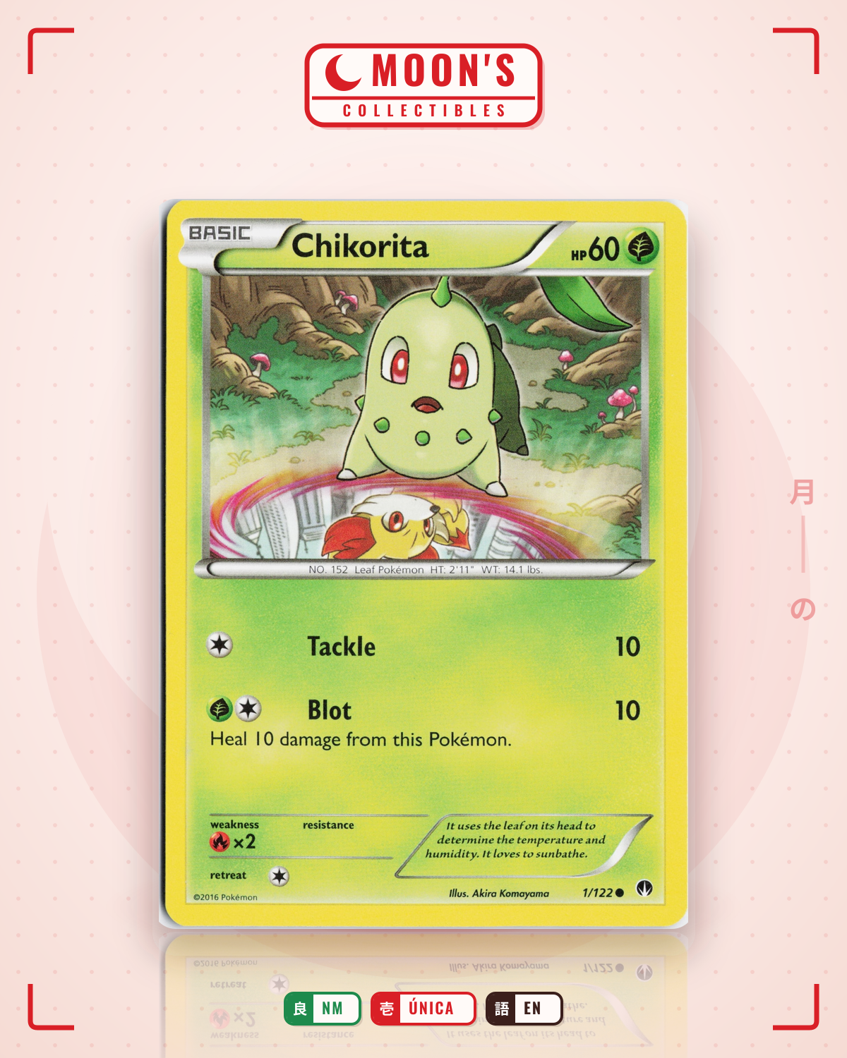 Carta Pokémon Chikorita · BREAKpoint #1/122 (NM) — pieza única en Moon's Collectibles México
