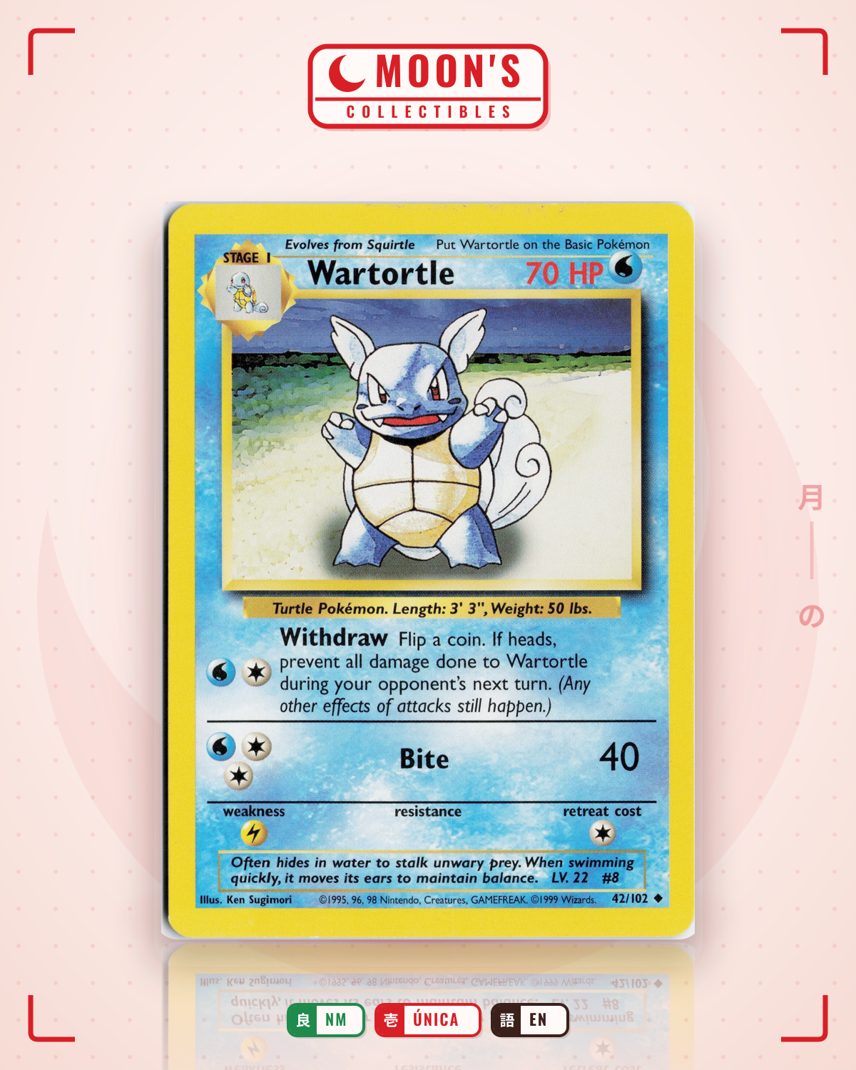 Carta Pokémon Wartortle · Base #42/102 (NM) — pieza única en Moon's Collectibles México