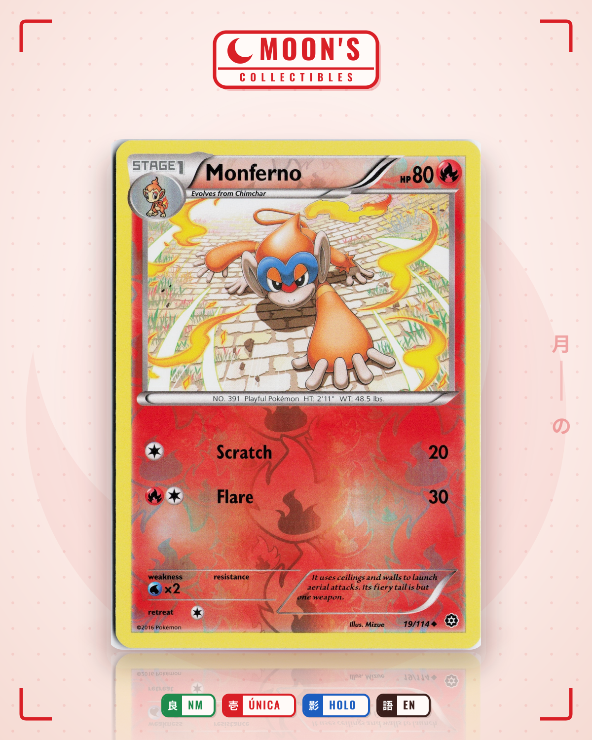 Carta Pokémon Monferno · Steam Siege #19/114 (NM) — pieza única en Moon's Collectibles México