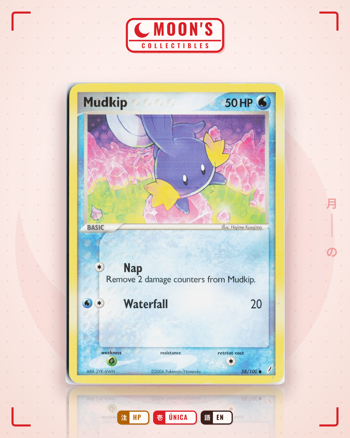 Carta Pokémon Mudkip · Crystal Guardians #58/100 (HP) — pieza única en Moon's Collectibles México