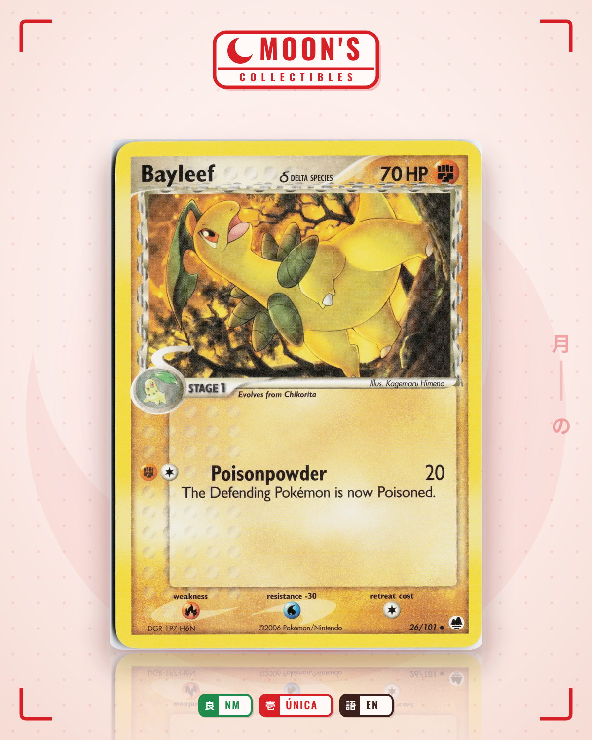 Carta Pokémon Bayleef δ · Dragon Frontiers #26/101 (NM) — pieza única en Moon's Collectibles México