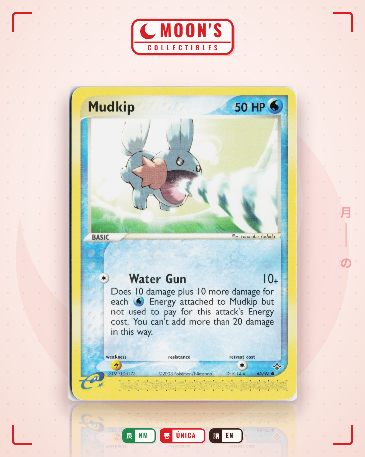 Carta Pokémon Mudkip · Dragon #65/97 (NM) — pieza única en Moon's Collectibles México
