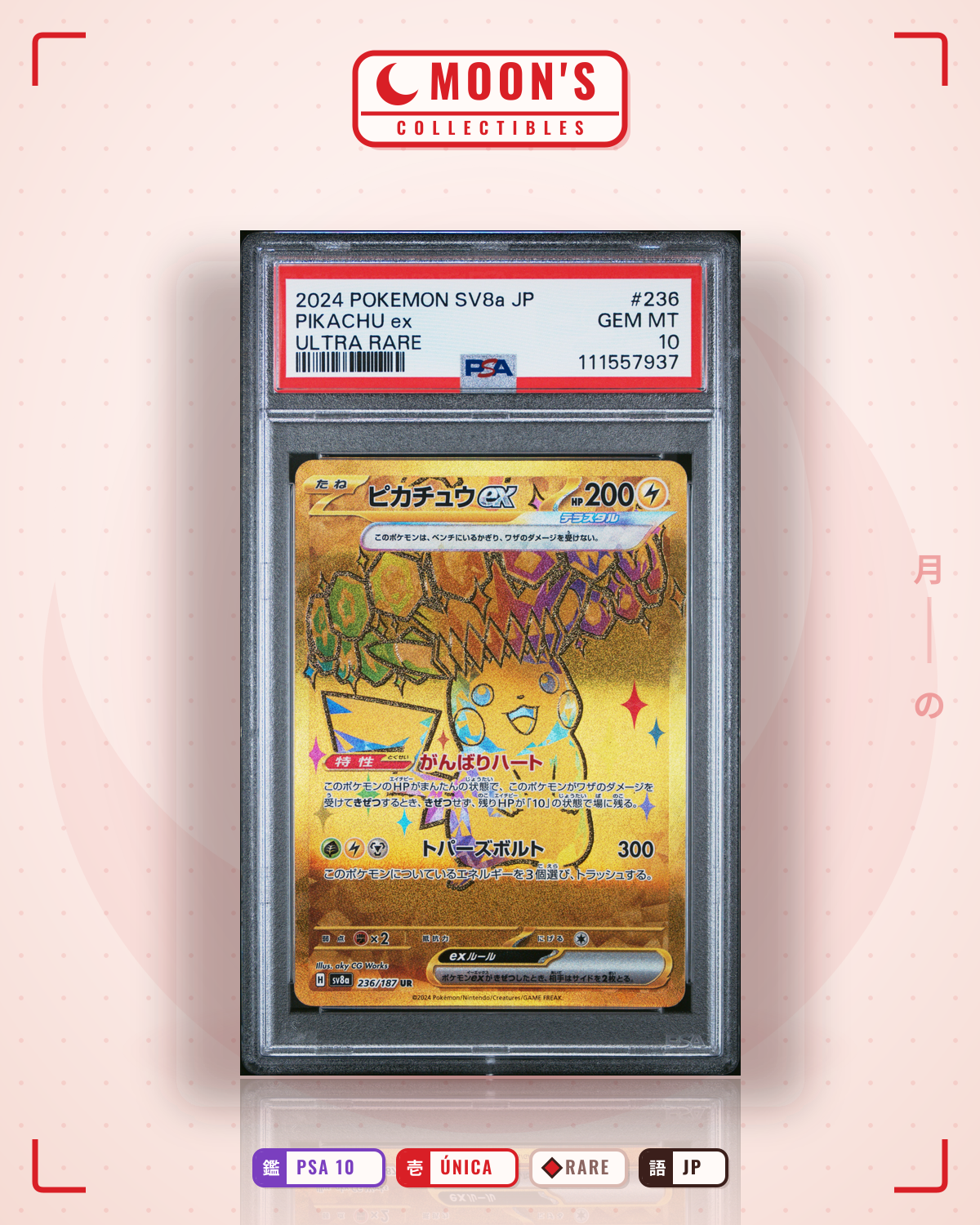 Carta Pokémon ピカチュウ · terrastal festival #236/187 (PSA 10) — pieza única en Moon's Collectibles México