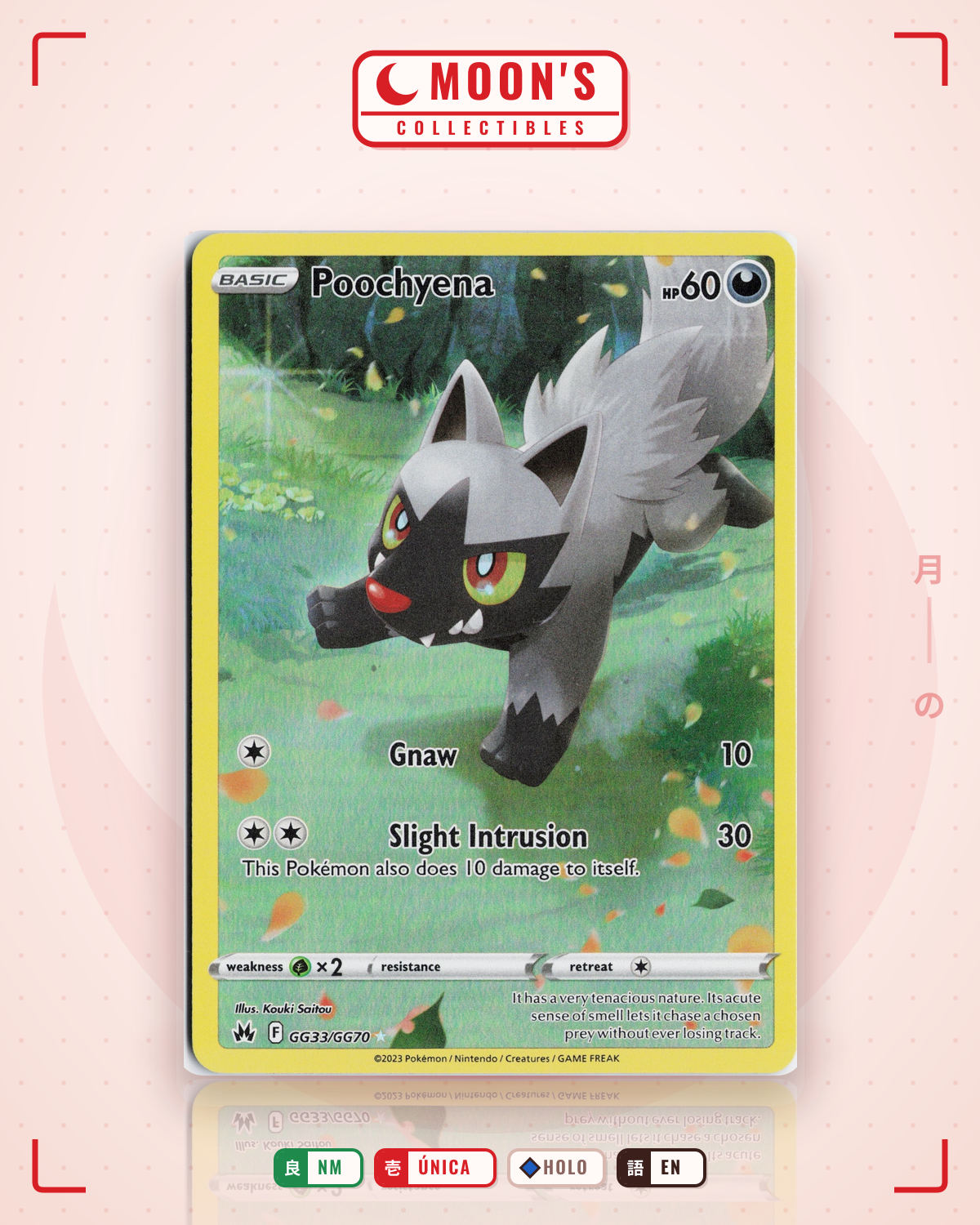 Carta Pokémon Poochyena · Crown Zenith Galarian Gallery #GG33/GG70 (NM) — pieza única en Moon's Collectibles México