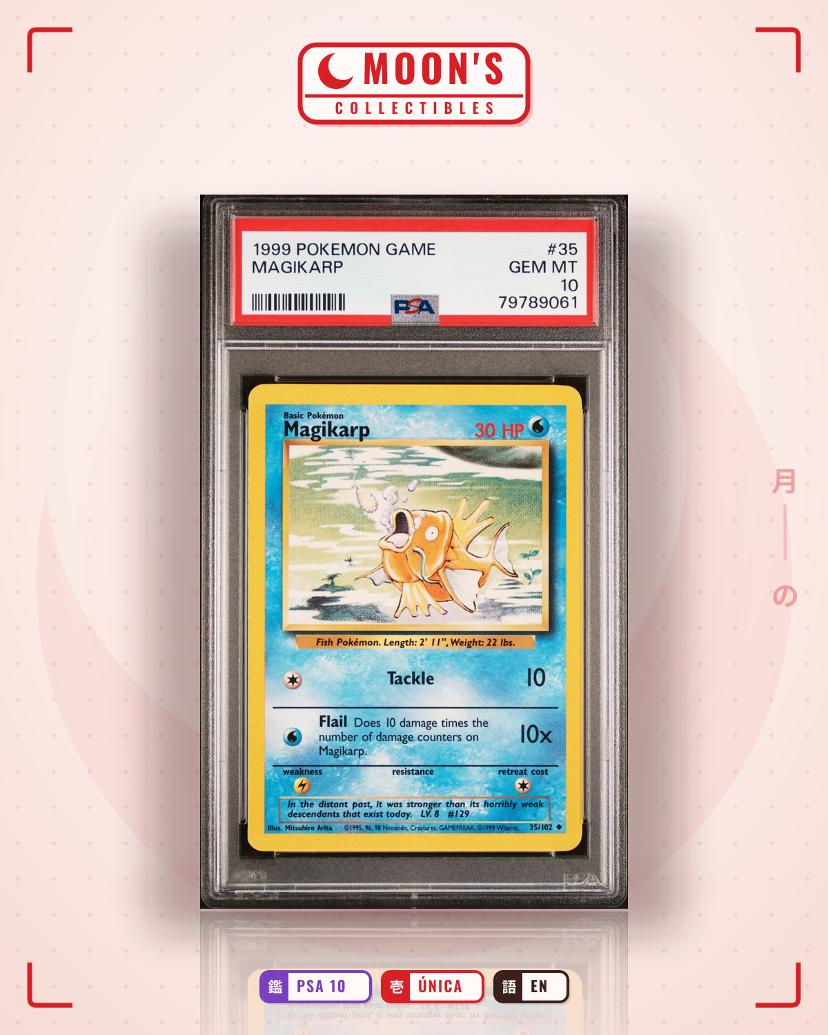 Carta Pokémon Magikarp · Base #35/102 (PSA 10) — pieza única en Moon's Collectibles México