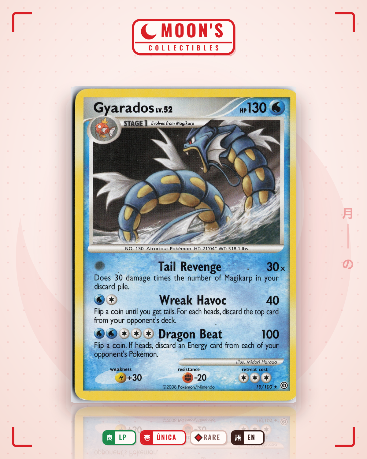 Carta Pokémon Gyarados · Stormfront #19/100 (LP) — pieza única en Moon's Collectibles México