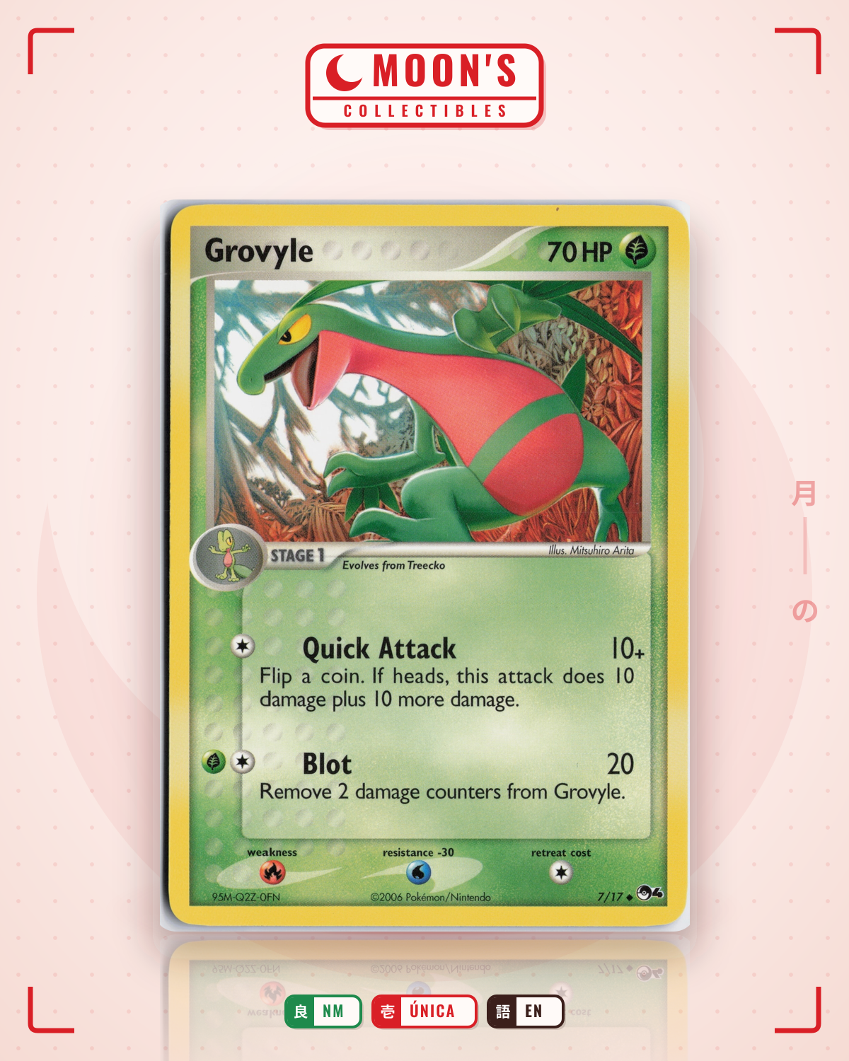 Carta Pokémon Grovyle · POP Series 4 #7/17 (NM) — pieza única en Moon's Collectibles México