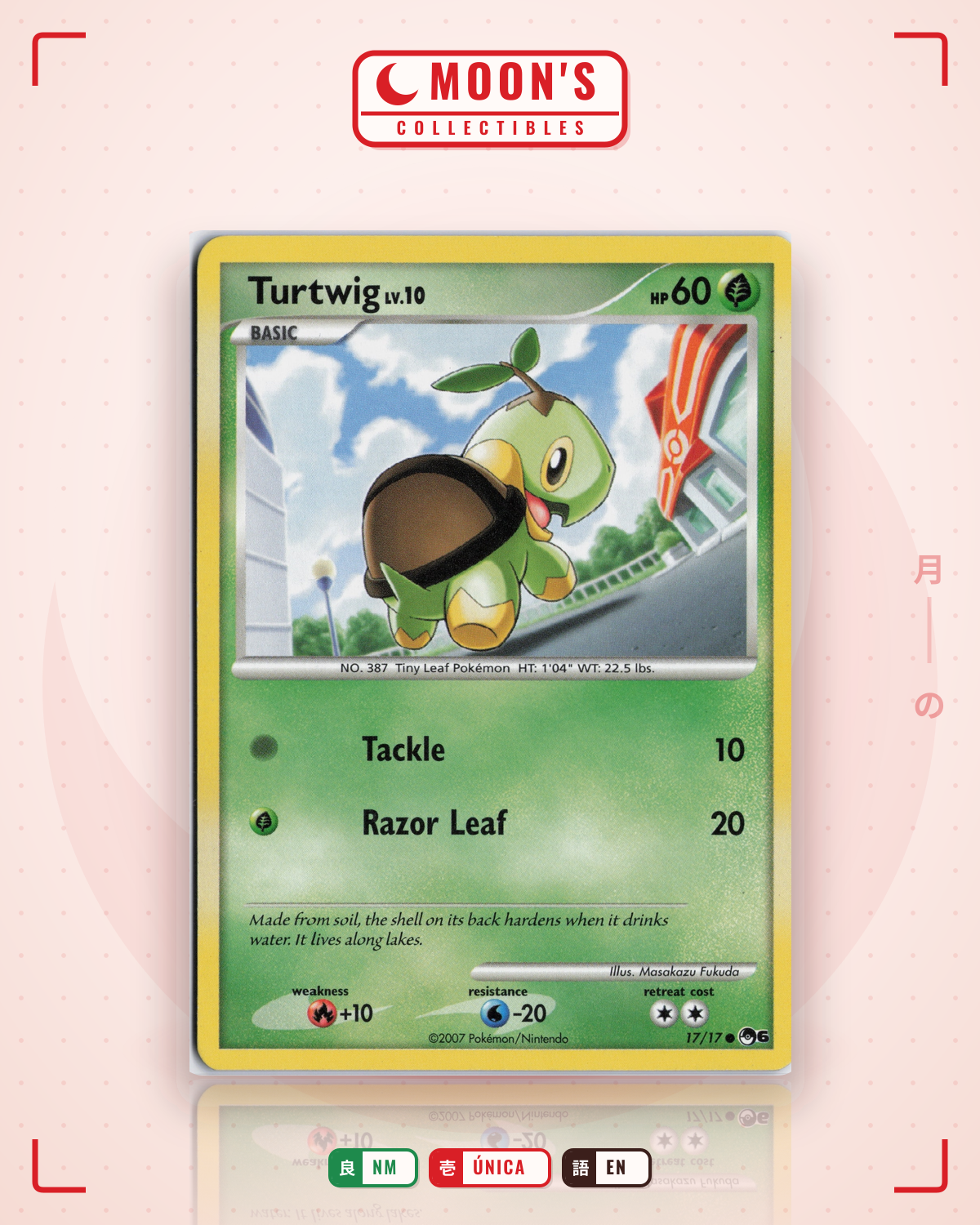 Carta Pokémon Turtwig · POP Series 6 #17/17 (NM) — pieza única en Moon's Collectibles México