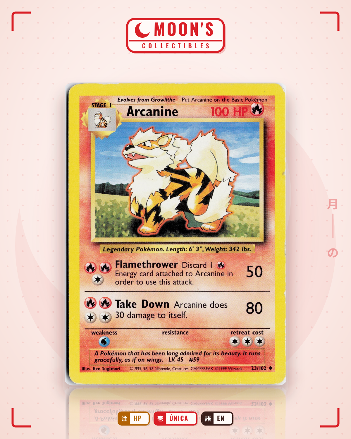 Carta Pokémon Arcanine · Base #23/102 (HP) — pieza única en Moon's Collectibles México