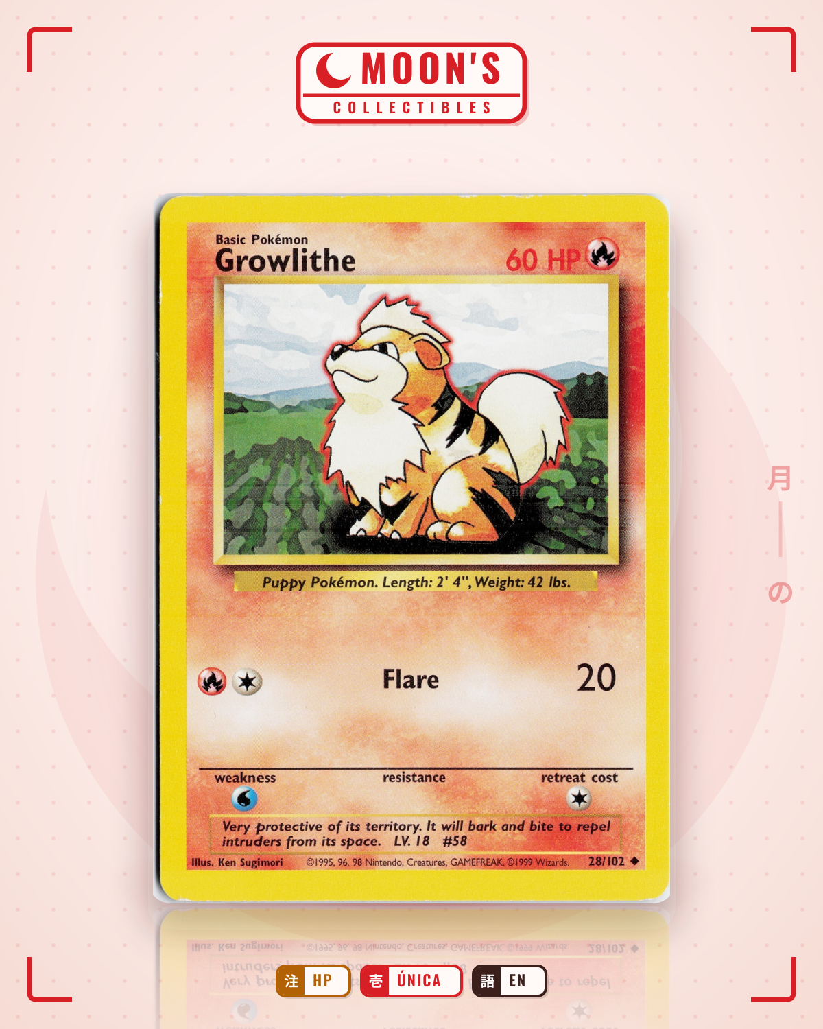 Carta Pokémon Growlithe · Base Set 2 #42/130 (HP) — pieza única en Moon's Collectibles México