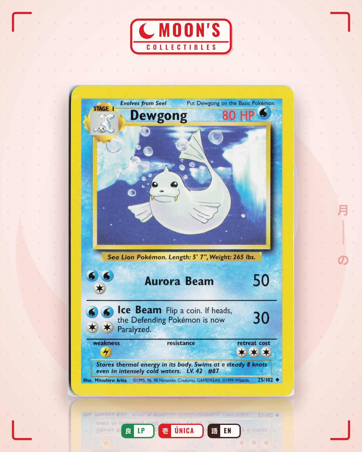 Carta Pokémon Dewgong · Base #25/102 (LP) — pieza única en Moon's Collectibles México