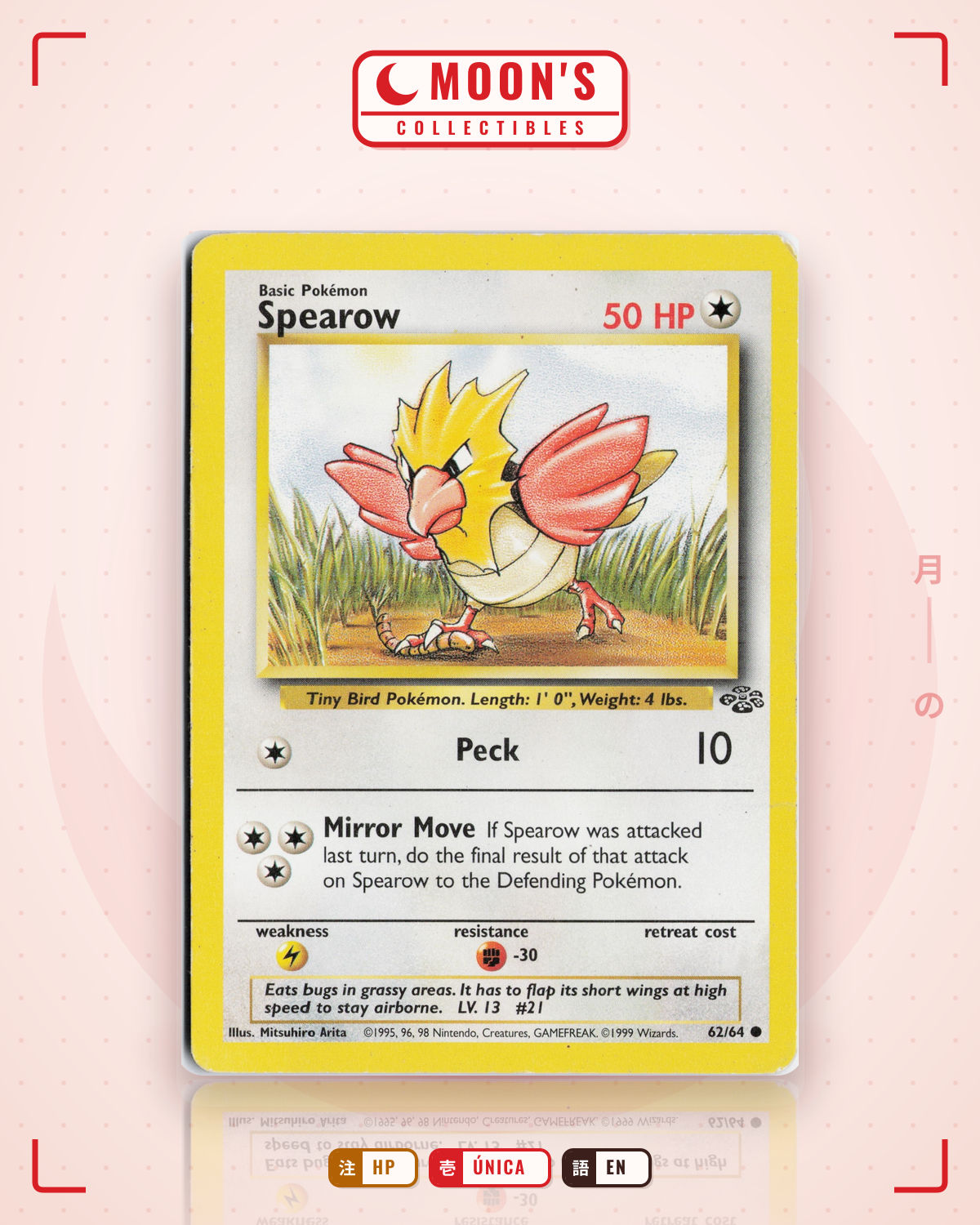Carta Pokémon Spearow · Jungle #62/64 (HP) — pieza única en Moon's Collectibles México