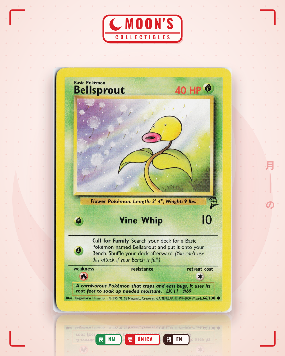 Carta Pokémon Bellsprout · Base Set 2 #66/130 (NM) — pieza única en Moon's Collectibles México