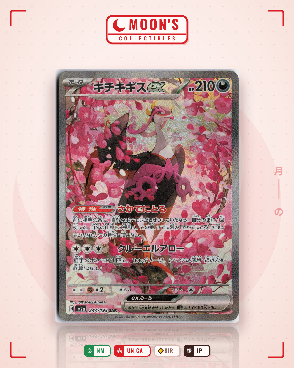 Carta Pokémon キチキギスex · MEGAドリームex #244/193 (NM) — pieza única en Moon's Collectibles México