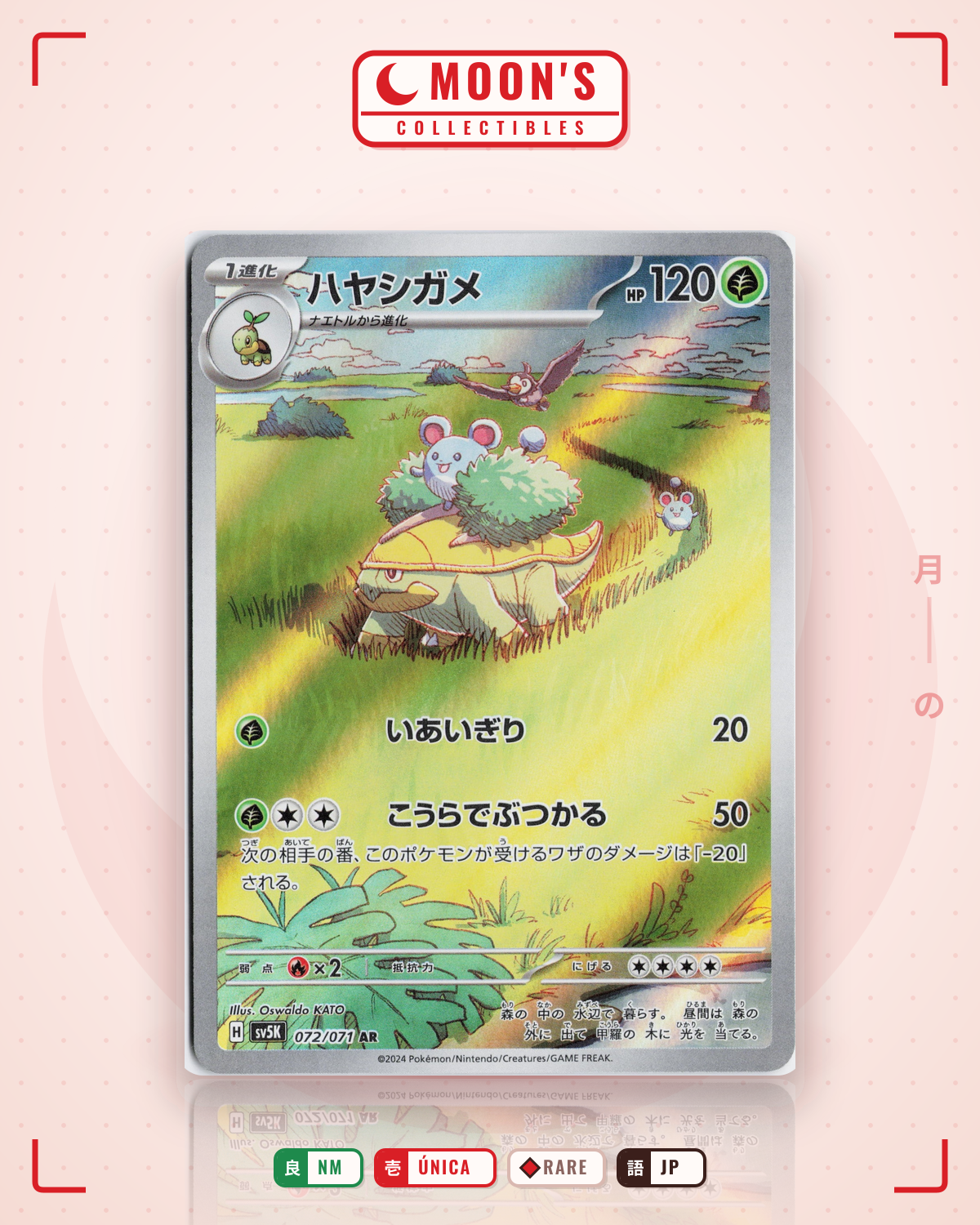 Carta Pokémon ハヤシガメ · ワイルドフォース #072/071 (NM) — pieza única en Moon's Collectibles México