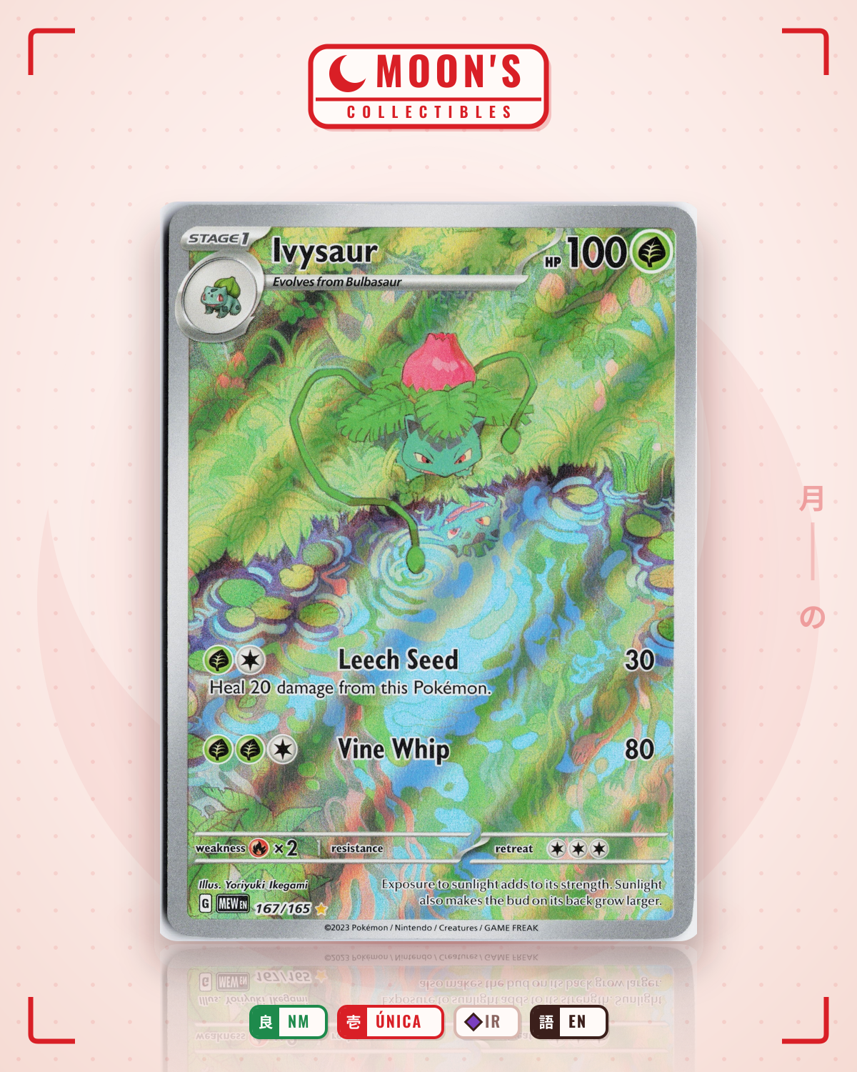 Carta Pokémon Ivysaur · 151 #167/165 (NM) — pieza única en Moon's Collectibles México