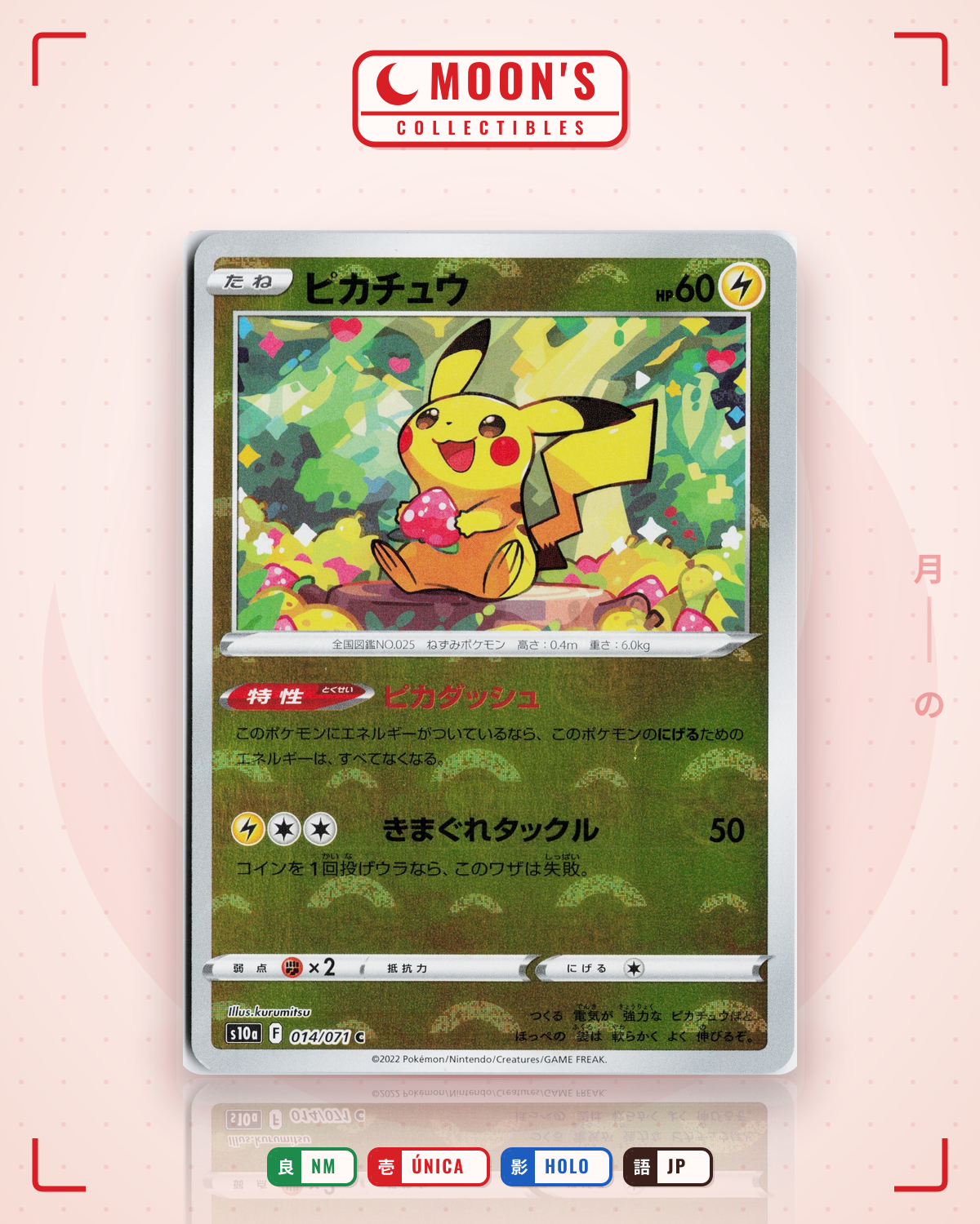 Carta Pokémon ピカチュウ · ダークファンタズマ #014/071 (NM) — pieza única en Moon's Collectibles México