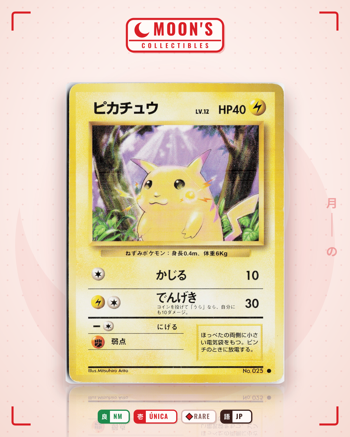 Carta Pokémon ピカチュウ · 拡張パック #No.025 (NM) — pieza única en Moon's Collectibles México