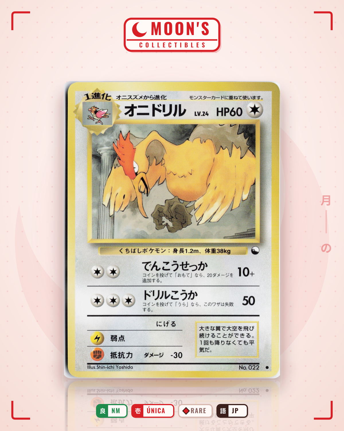 Carta Pokémon オニドリル · 拡張シート2 #No.022 (NM) — pieza única en Moon's Collectibles México