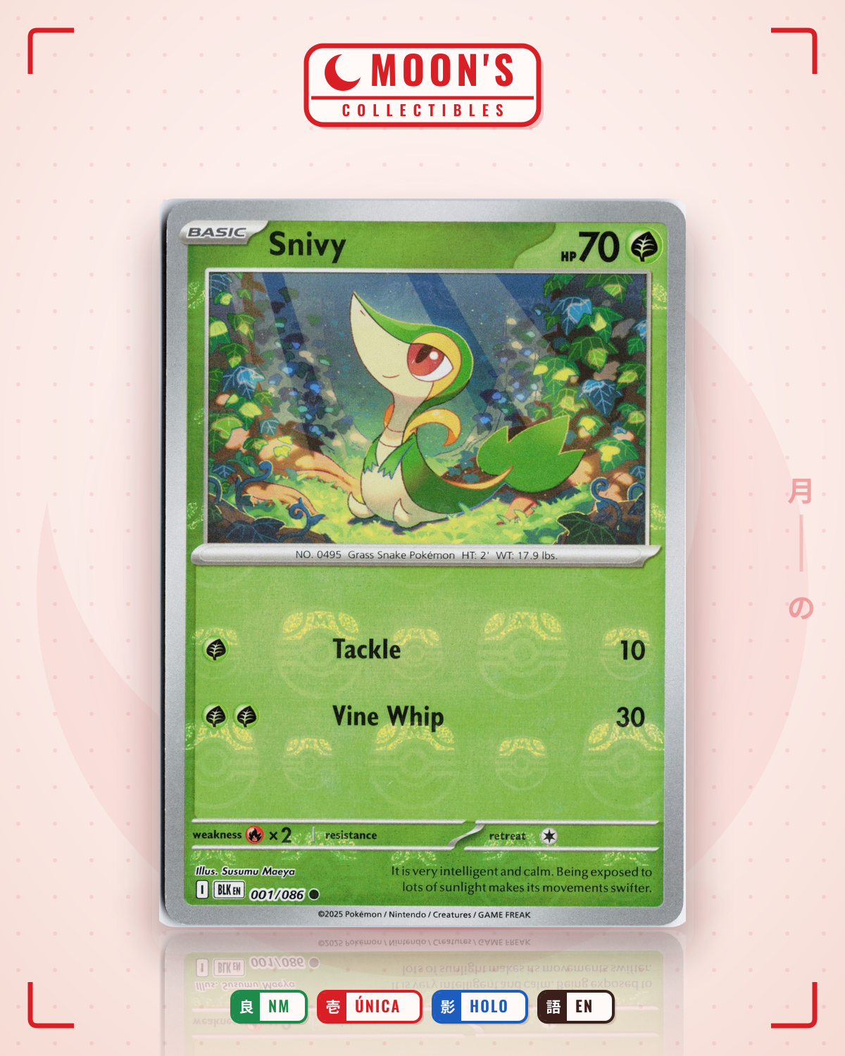 Carta Pokémon Snivy · Black Bolt #001/086 (NM) — pieza única en Moon's Collectibles México