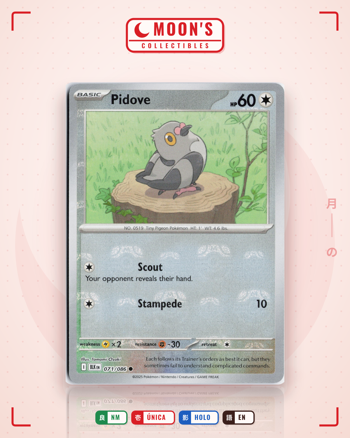 Carta Pokémon Pidove · Black Bolt #071/086 (NM) — pieza única en Moon's Collectibles México