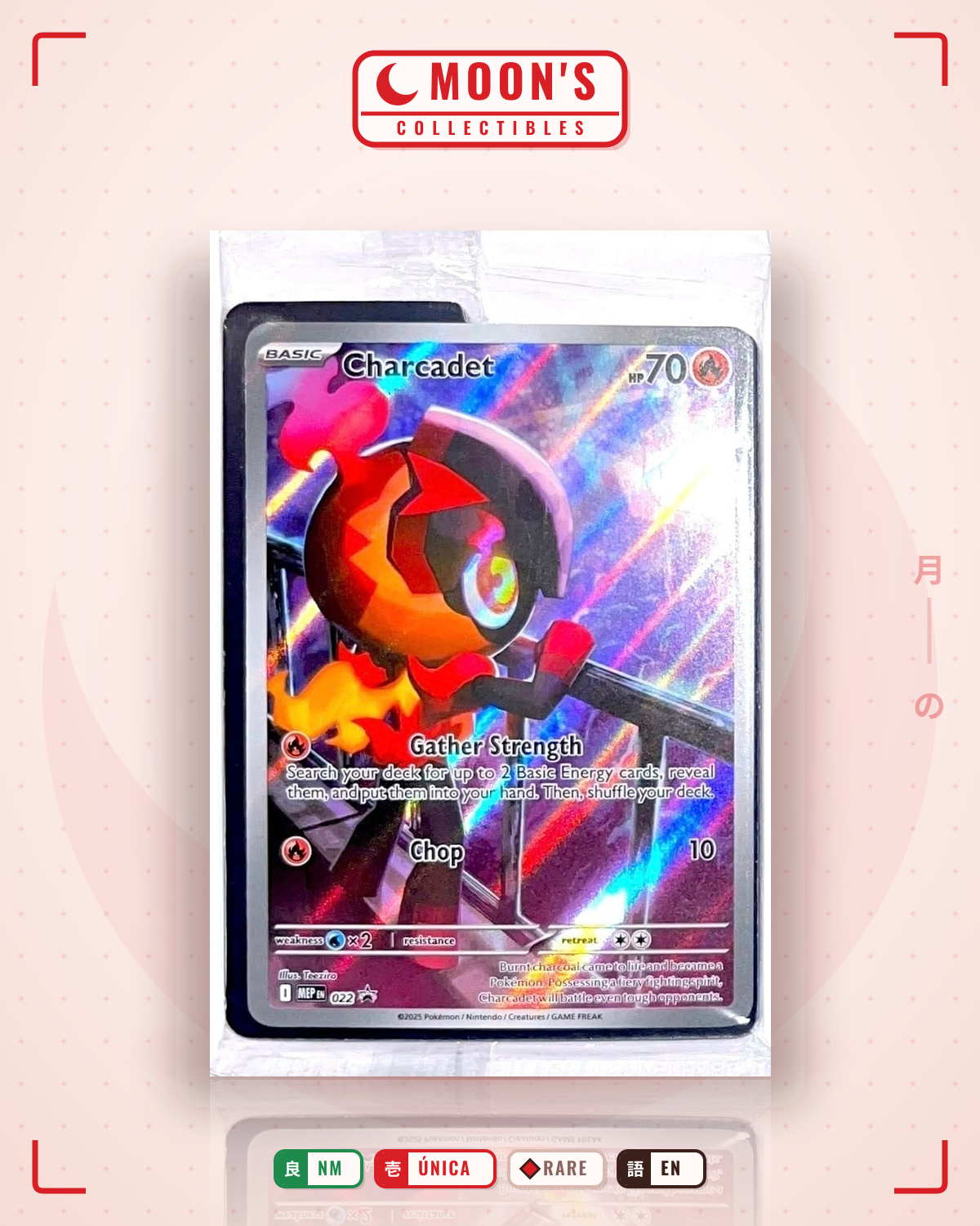 Carta Pokémon Charcadet · Mega Evolution Black Star Promos #022 (NM) — pieza única en Moon's Collectibles México
