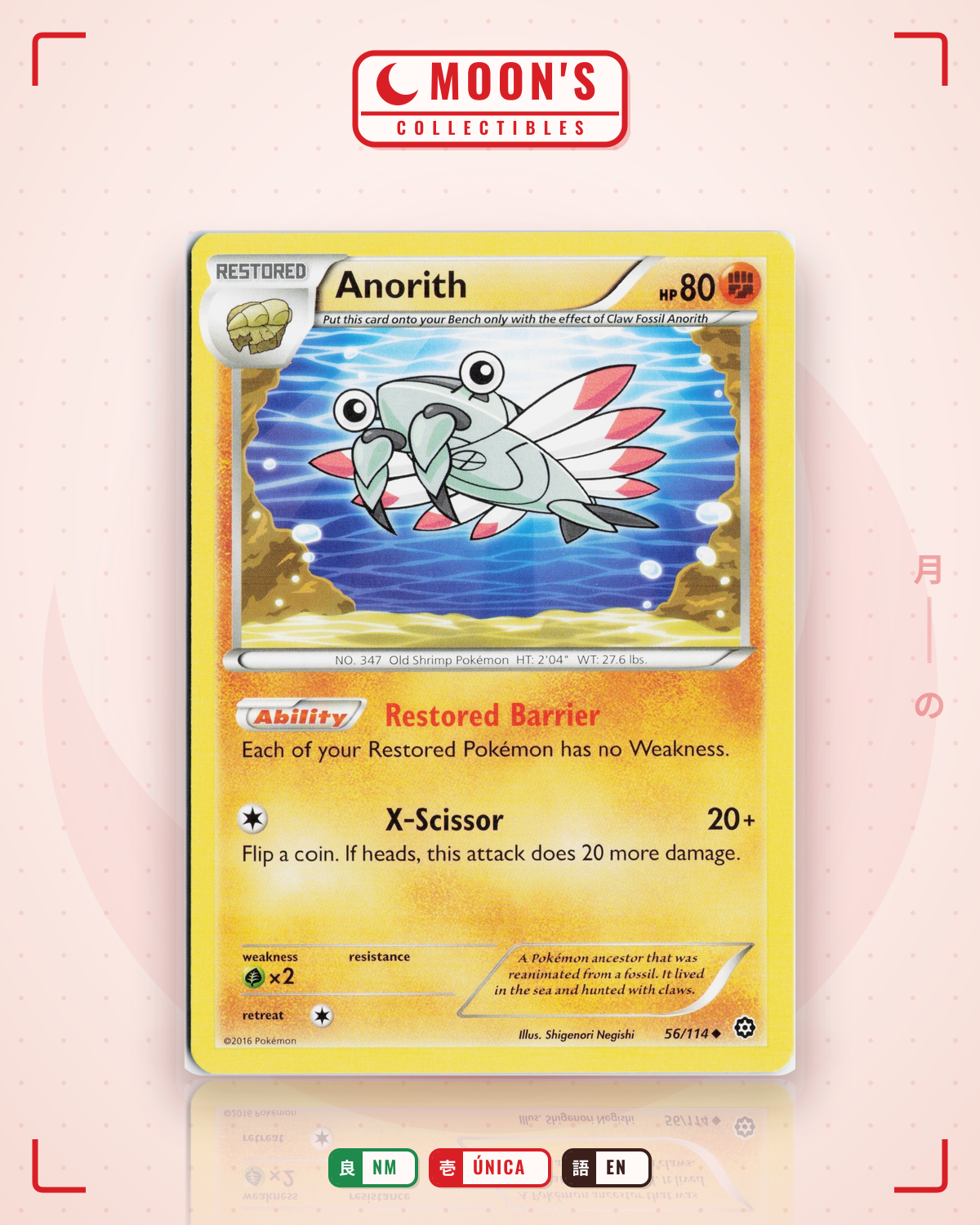 Carta Pokémon Anorith · Steam Siege #56/114 (NM) — pieza única en Moon's Collectibles México