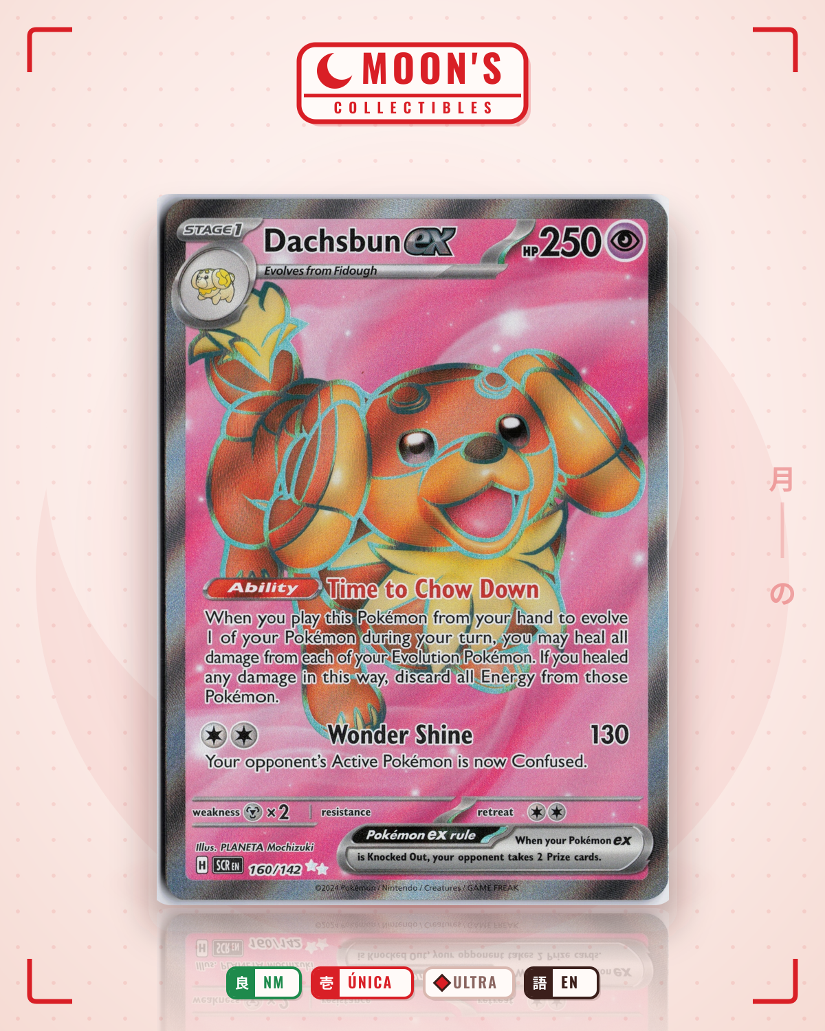 Carta Pokémon Dachsbun ex · Stellar Crown #160/142 (NM) — pieza única en Moon's Collectibles México