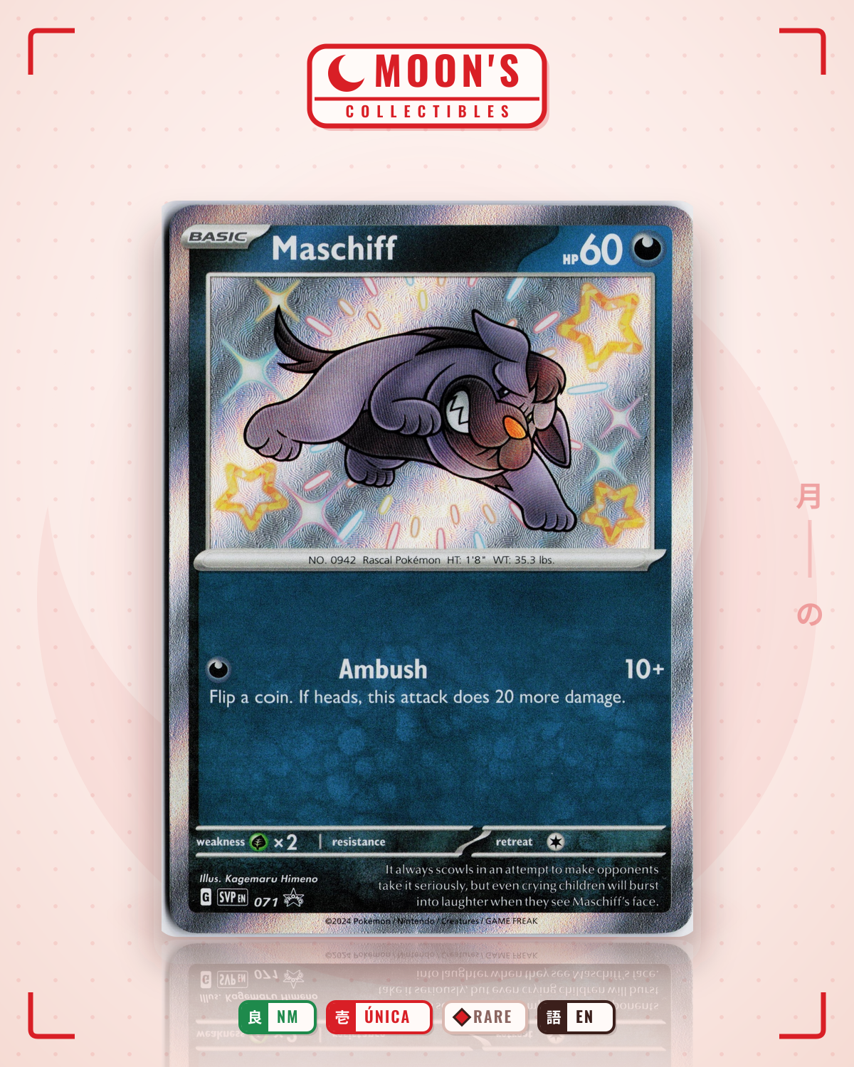 Carta Pokémon Maschiff · Scarlet & Violet Black Star Promos #071 (NM) — pieza única en Moon's Collectibles México