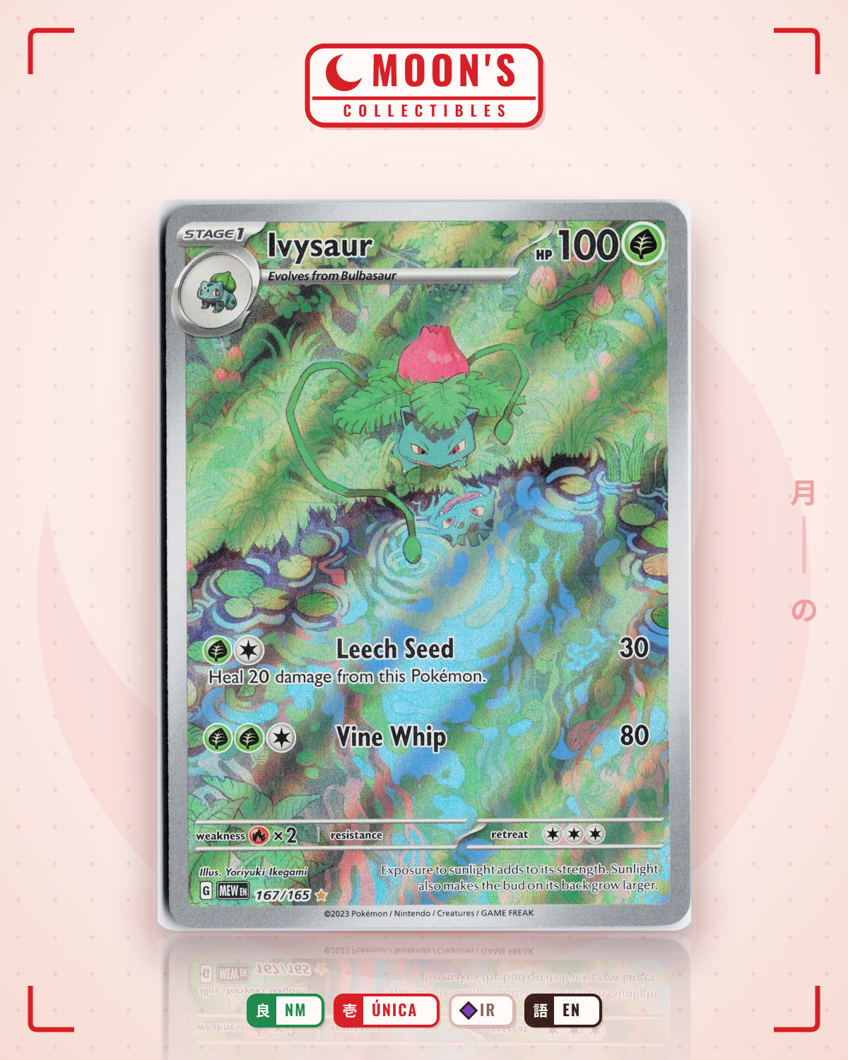 Carta Pokémon Ivysaur · 151 #167/165 (NM) — pieza única en Moon's Collectibles México