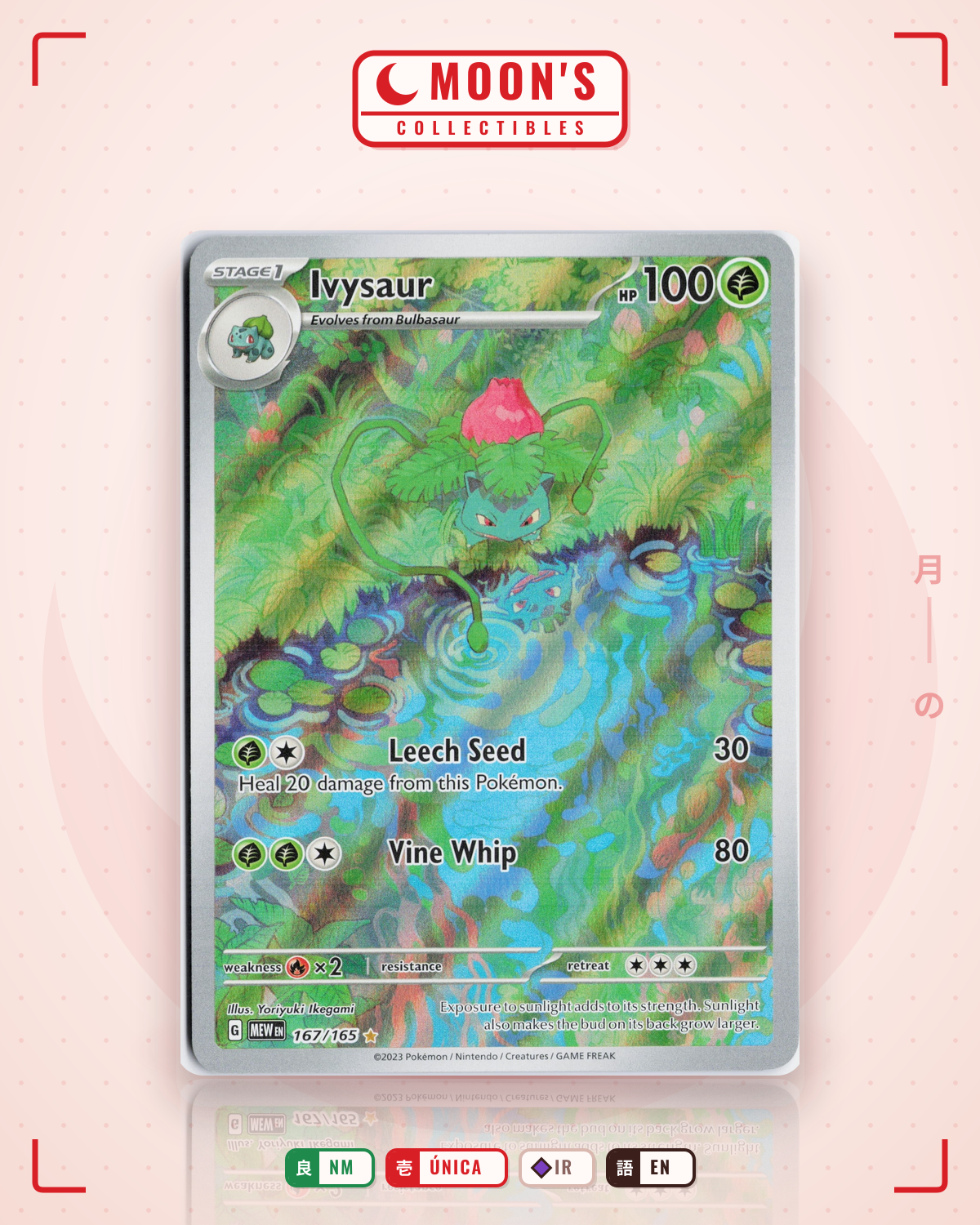 Carta Pokémon Ivysaur · 151 #167/165 (NM) — pieza única en Moon's Collectibles México