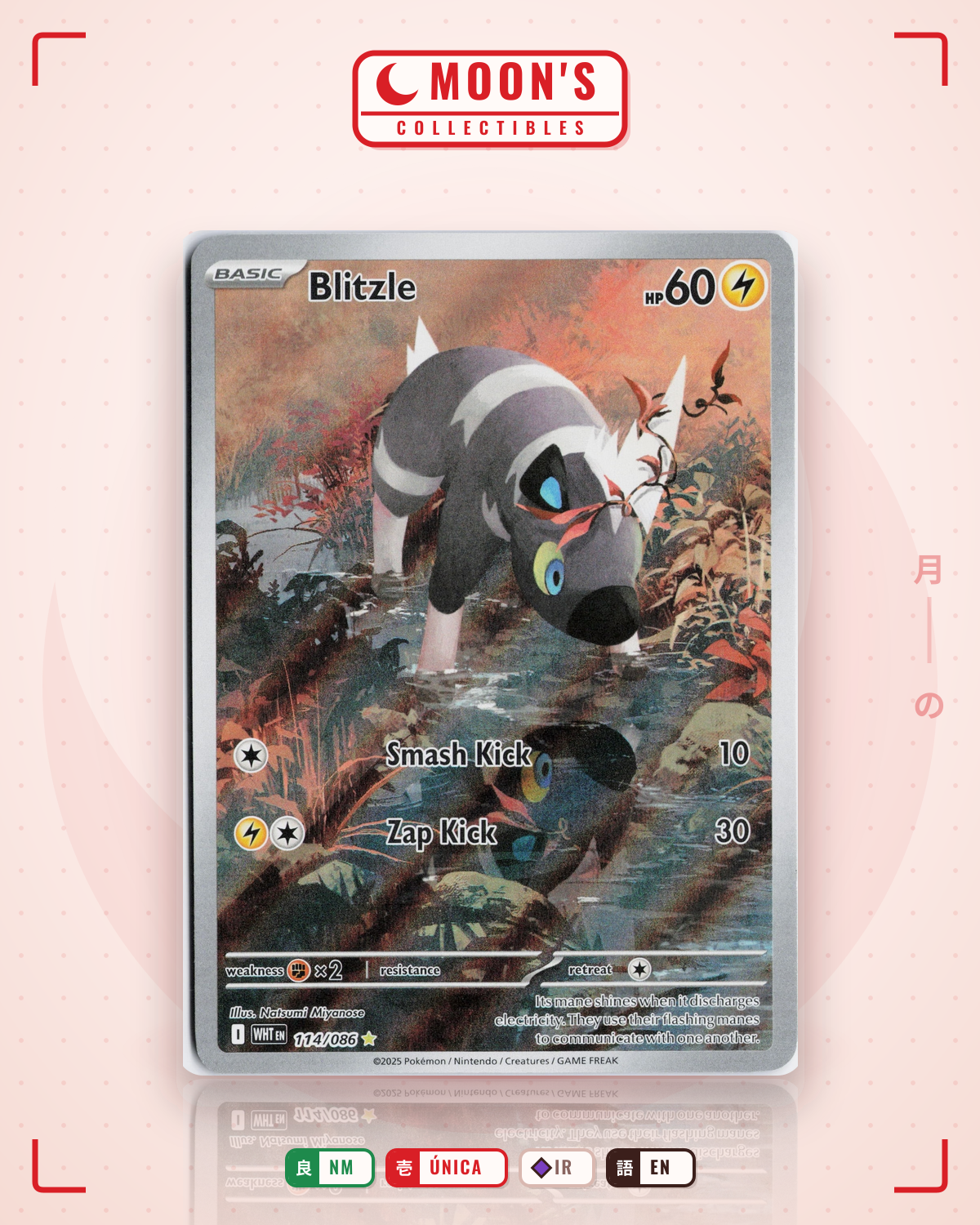 Carta Pokémon Blitzle · White Flare #114/086 (NM) — pieza única en Moon's Collectibles México