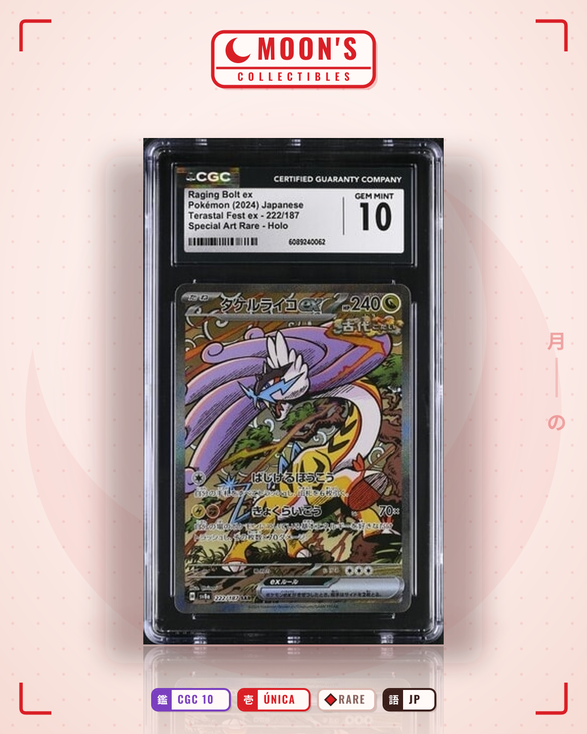 Carta Pokémon タケルライコex · テラスタルフェスex #222/187 (CGC 10) — pieza única en Moon's Collectibles México