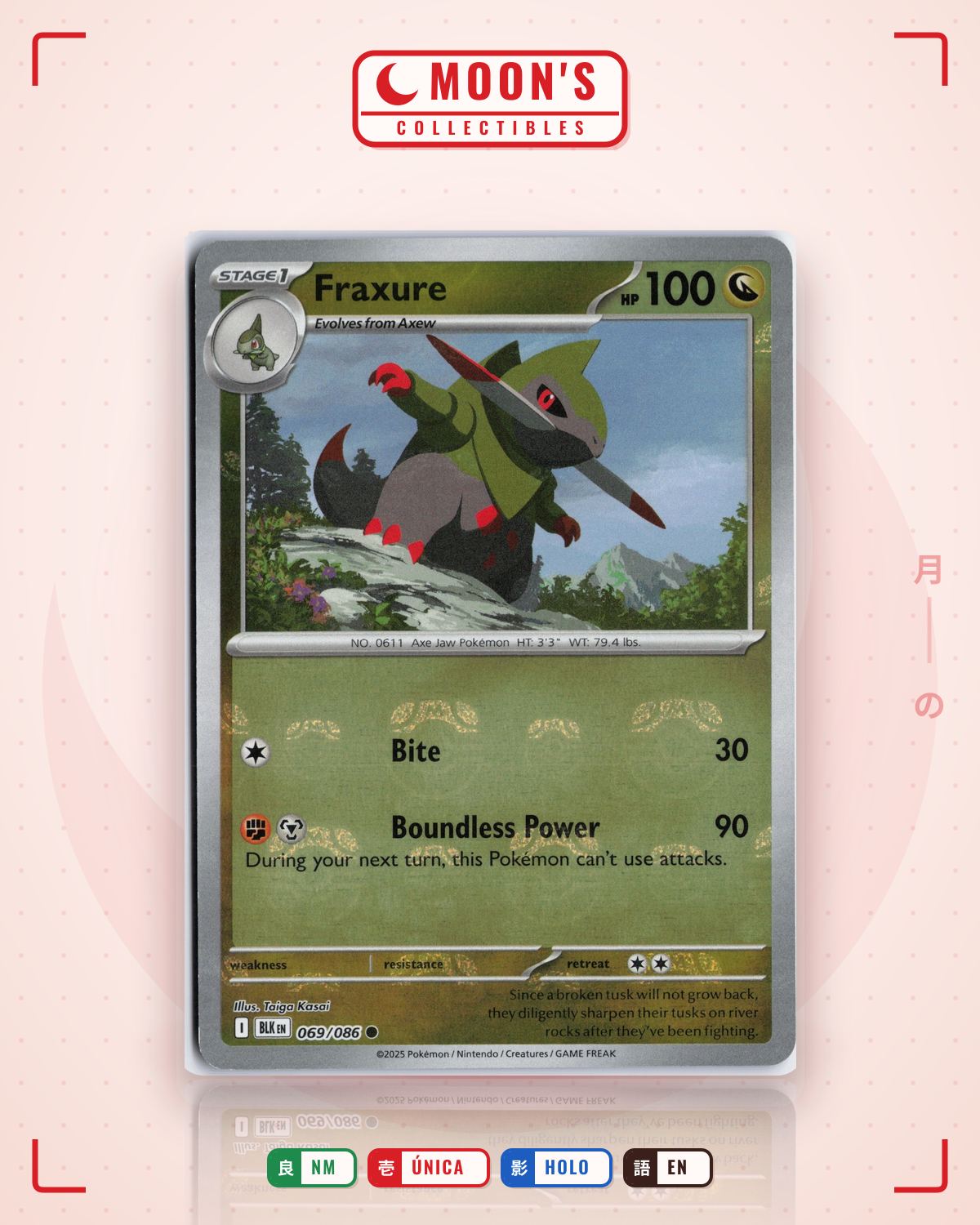 Carta Pokémon Fraxure · Black Bolt #069/086 (NM) — pieza única en Moon's Collectibles México