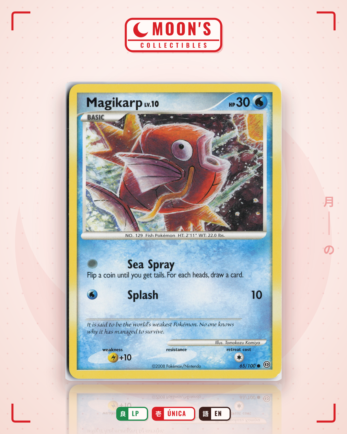 Carta Pokémon Magikarp · Stormfront #65/100 (LP) — pieza única en Moon's Collectibles México