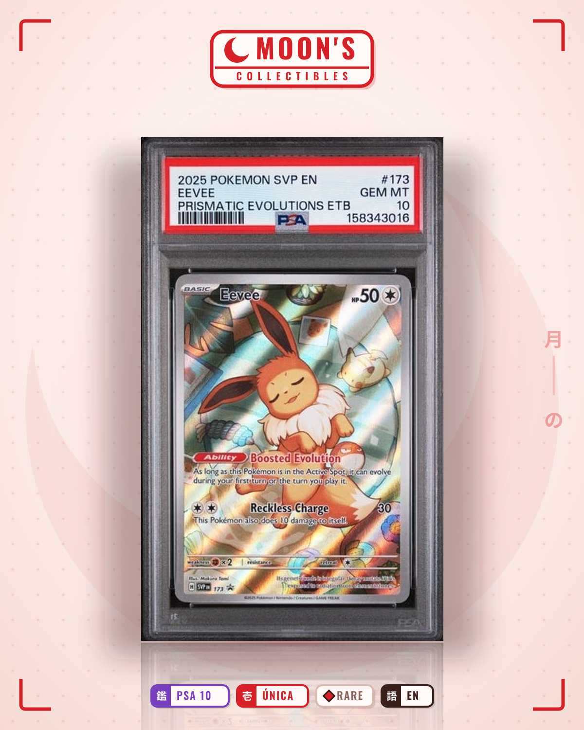 Carta Pokémon Eevee · Scarlet & Violet Black Star Promos #173 (PSA 10) — pieza única en Moon's Collectibles México