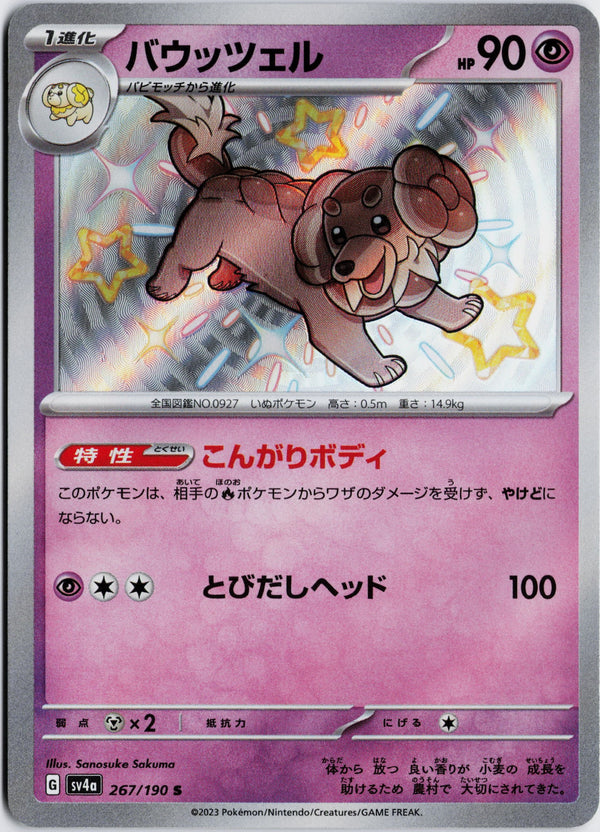 Carta Pokémon バウッツェル · シャイニートレジャーex #267/190 (NM) — pieza única en Moon's Collectibles México