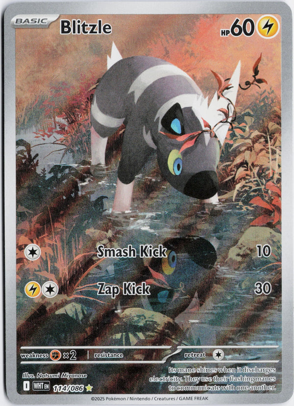 Carta Pokémon Blitzle · White Flare #114/086 (NM) — pieza única en Moon's Collectibles México